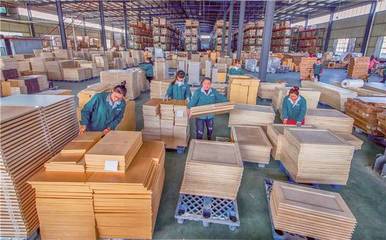 真心實(shí)意服務(wù) 真金白銀支持——埇橋區(qū)精準(zhǔn)發(fā)力助推民營(yíng)經(jīng)濟(jì)高質(zhì)量發(fā)展之木材產(chǎn)業(yè)篇