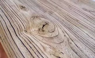 聞香識木，教您識別身邊的木材